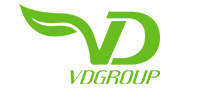 VD Group Logo